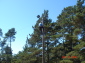 DSC07575