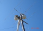 DSC07626