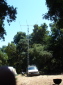 DSC01751