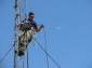normal_IMG_1100